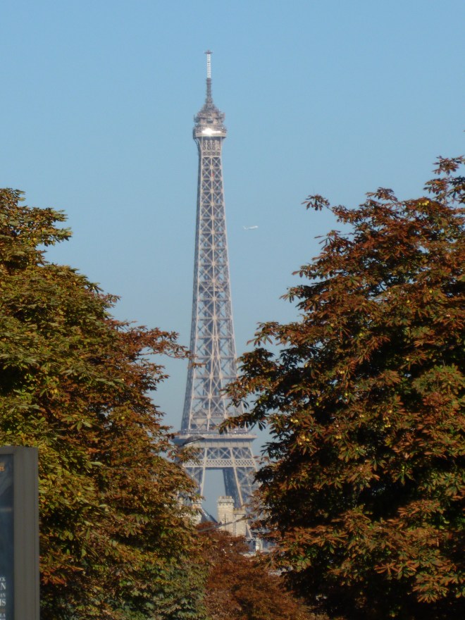 P1020651
