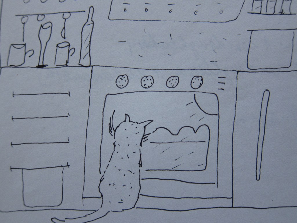 Eine einfache Zeichnung, die eine Katze zeigt, die vor einem Ofen sitzt und auf etwas im Inneren schaut. Der Ofen hat drei runde Knöpfe und durch die Glastür ist eine Backware sichtbar. Im Hintergrund sind Küchenutensilien und Regale skizziert.