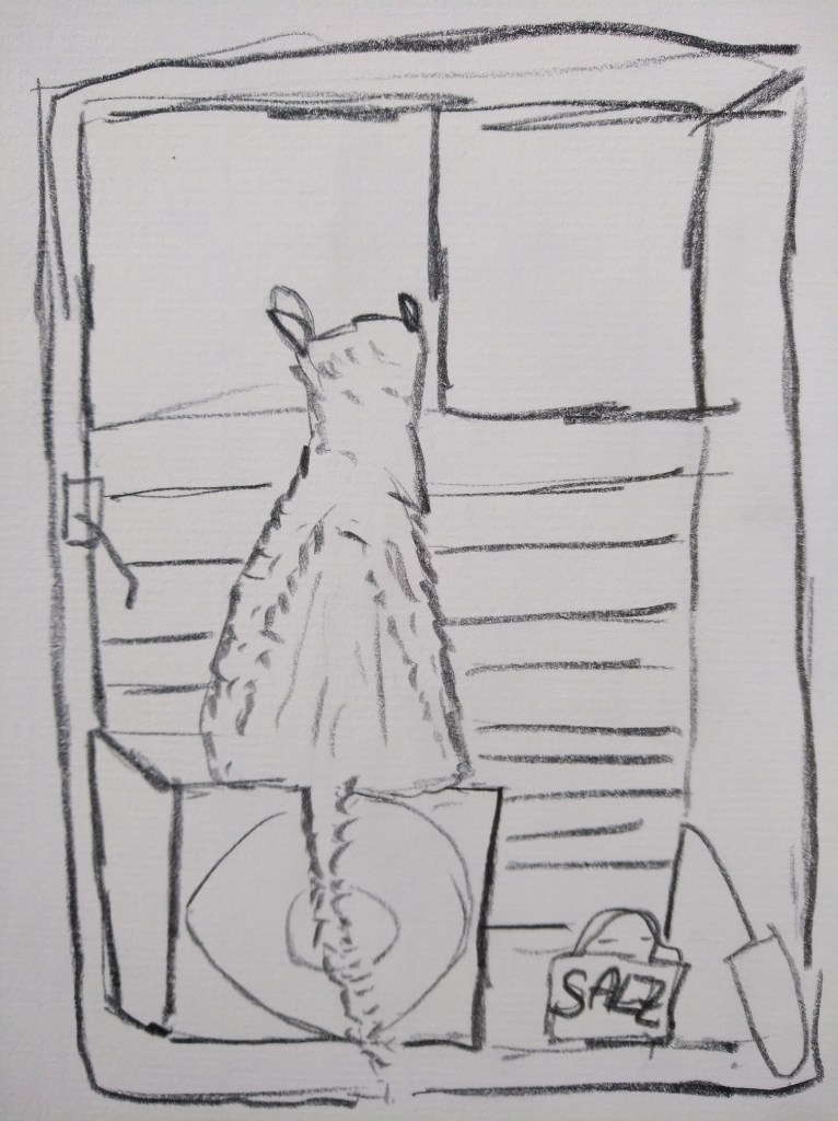 Eine grafische Zeichnung eines Tieres, das vor einem Fenster steht. Das Tier hat ein flauschiges Fell und ist von hinten zu sehen. Im Vordergrund sind mehrere Gegenstände, darunter eine Kiste mit der Aufschrift 'SALZ'.