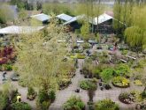 Bedrijfsfilm Tuincentrum De Florahoek