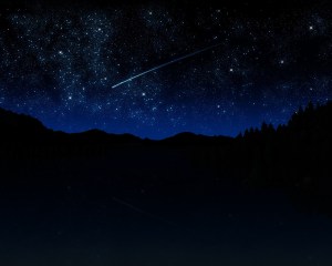 starrrs