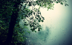 quiet rain