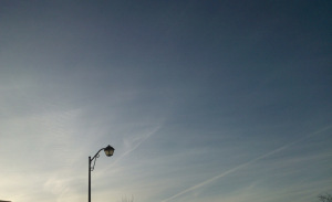 WP_002360