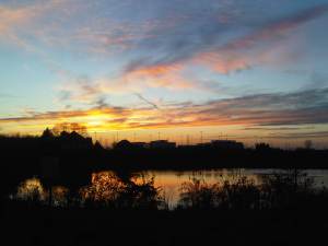 IMG00581-20111106-1714