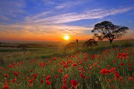 poem copyright neha 2015 and image from google search