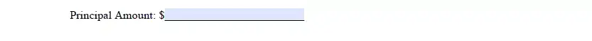 Borrowed sum specification section of a promissory note for Illinois