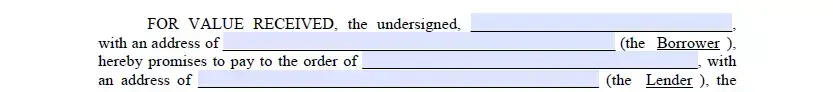 Parties indication part of promissory note form for Illinois