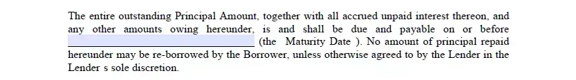 Maturity date part of Illinois promissory note form