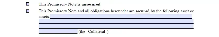 Type definition part of Illinois promissory note document