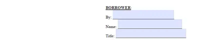 Signing section of Illinois template of promissory note