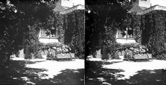 A felvétel 1900 előtt készült., 1900, SZTFH Földtani Szolgálatának gyűjteménye, Eötvös Loránd, repkény, sztereófotó, zsalugáter, ablakon kihajolni, Fortepan #303198