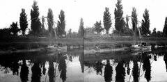 A felvétel 1900 előtt készült., 1900, SZTFH Földtani Szolgálatának gyűjteménye, Eötvös Loránd, sztereófotó, víztükör, jegenyefa, tükröződés, Fortepan #303217