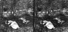 A felvétel 1900 előtt készült., 1900, SZTFH Földtani Szolgálatának gyűjteménye, Eötvös Loránd, Best of, sztereófotó, hölgy, erdő, pihenés, fűben feküdni, Fortepan #303301