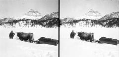 Olaszország, Dolomitok, a Lago di Misurina (Misurina-tó) patja, háttérben a Tre Cime di Lavaredo/ Drei Zinnen vonulata . A felvétel 1900 előtt készült. A kép forrását kérjük így adja meg: Fortepan / MMKM. Levéltári jelzet: MMKM TTFGY 2019.1., 1900, Magyar Műszaki és Közlekedési Múzeum / Eötvös Loránd, Eötvös Loránd, sztereófotó, fogat, szarvasmarha, havas táj, Fortepan #303347