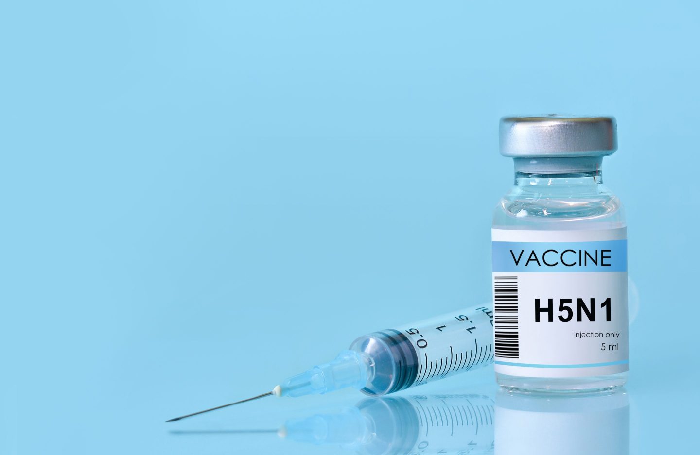 Days before President Donald Trump took office a second time, the Department of Health and Human Services granted Moderna $590 million for the development of mRNA vaccines for bird flu and other influenza viruses.