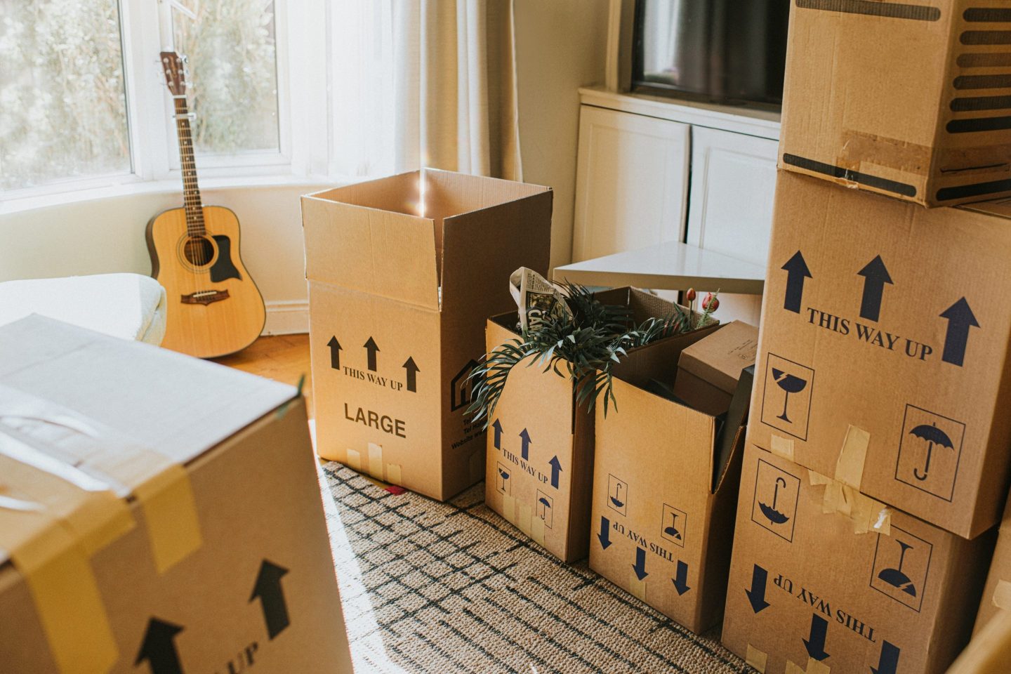 A sunny living room with many cardboard boxes, filled with possessions, alluding to moving in or moving out of a house. Boxes have potted plants peeking over the top and a guitar sits against the window. Window and boxes provide a space for copy.