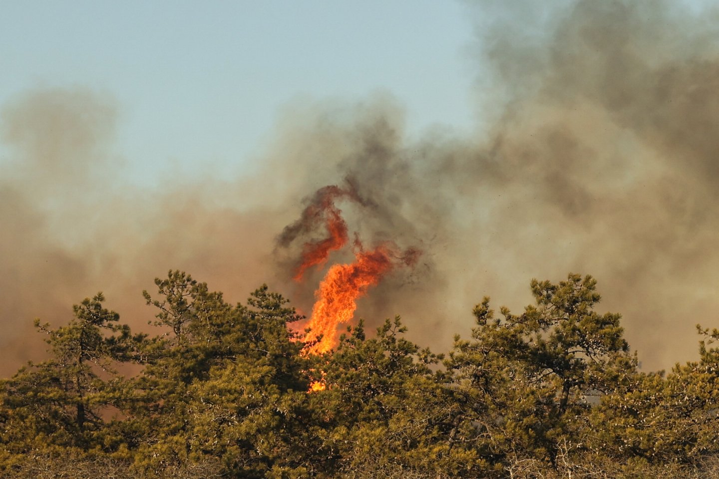 Firefighters battle a wildfire in Westhampton Beach, New York on March 8, 2025.