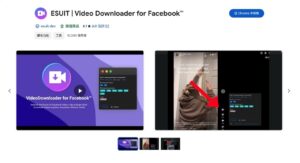 Esuit Video Downloader For Facebook 6.jpg