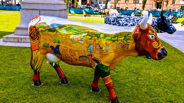 Vache sur le parterre de l'hôtel de ville de Belfast.