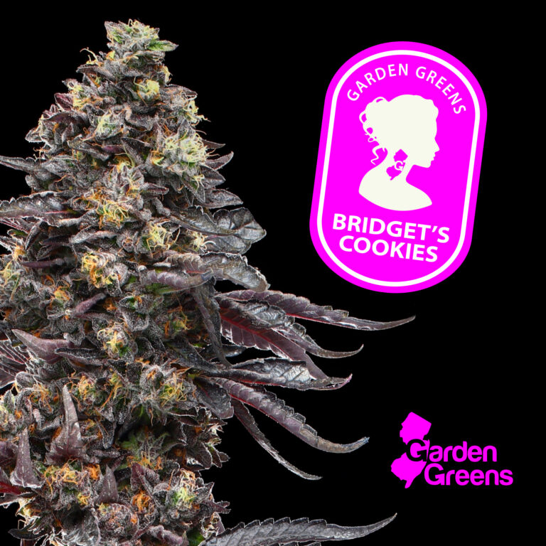 BridgetsCookies_MenuAsset-1-1