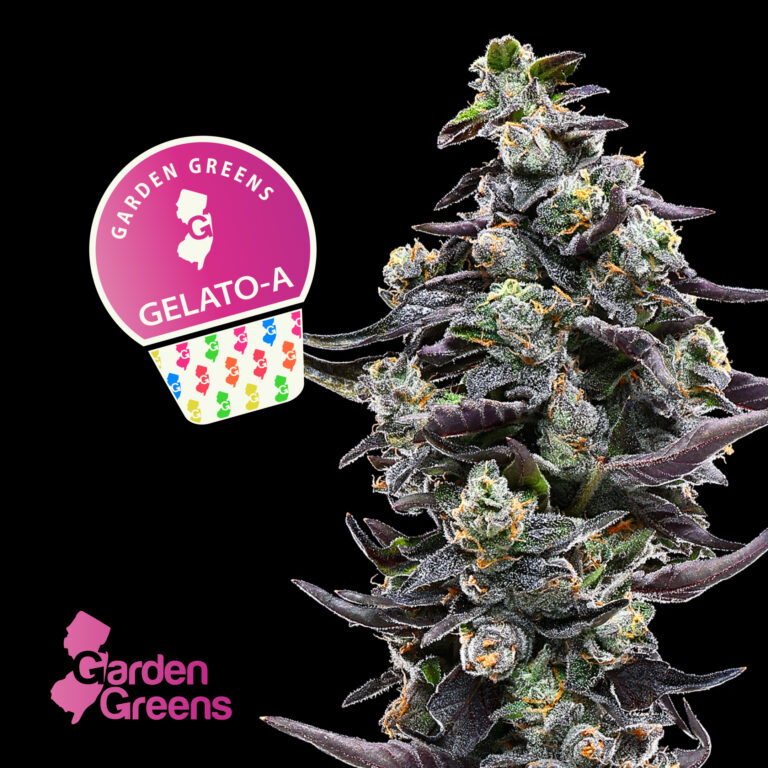 GelatoA_MenuAsset-11-1