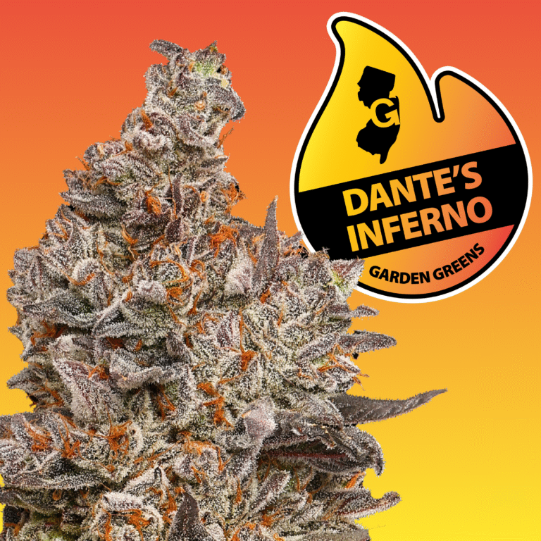 DantesInferno_ALT_MenuAsset4-1