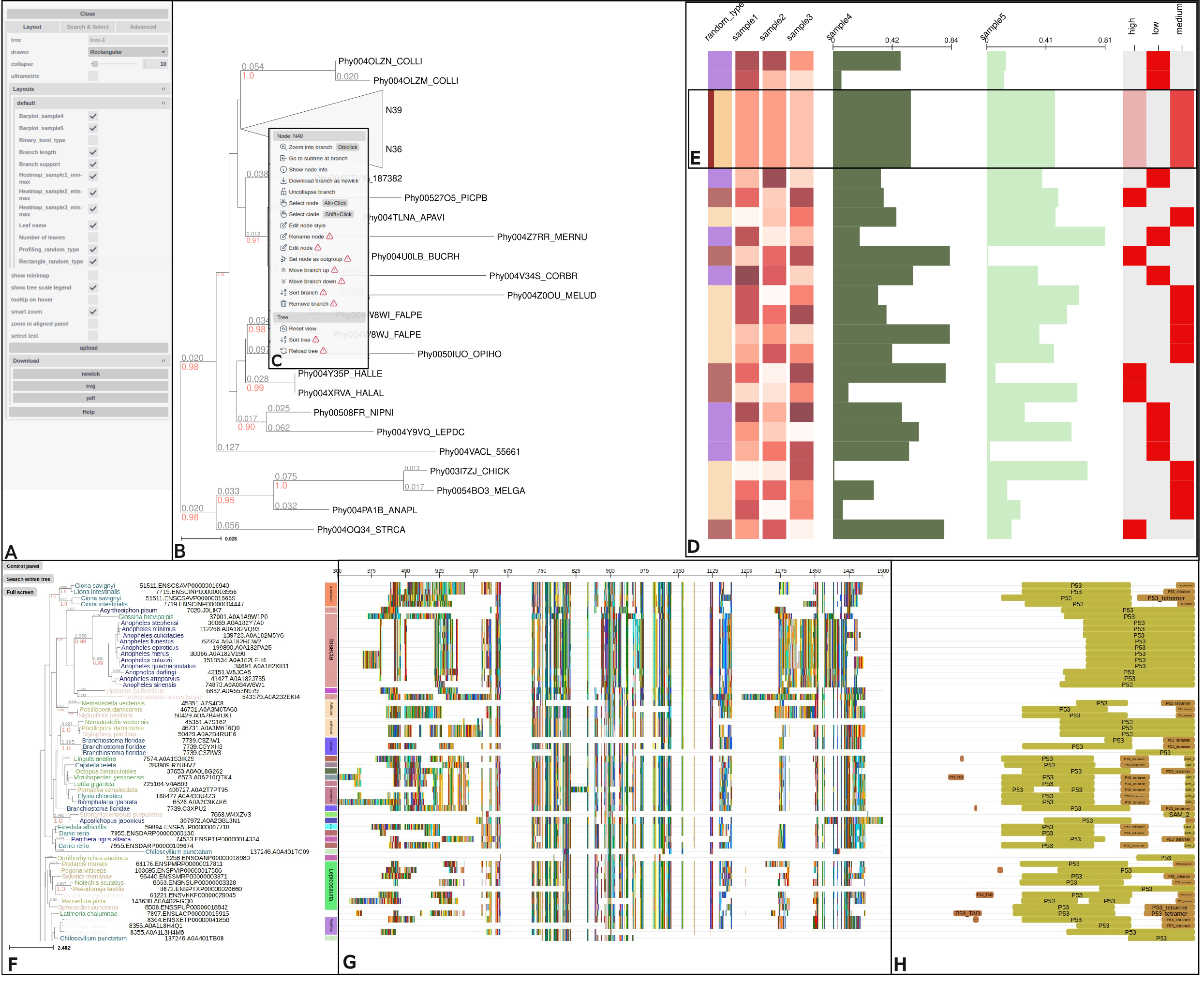 TreeProfiler general overview