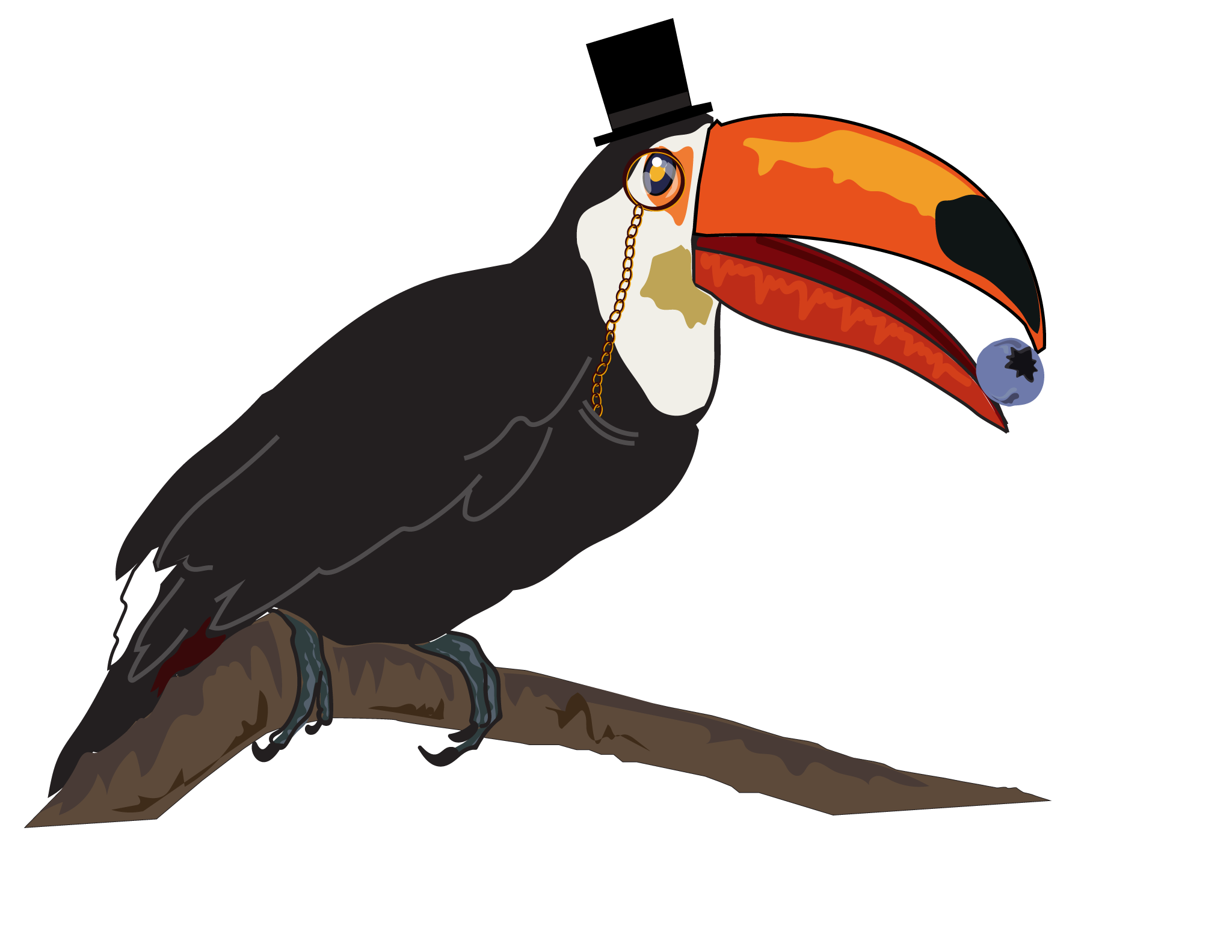 Toucan