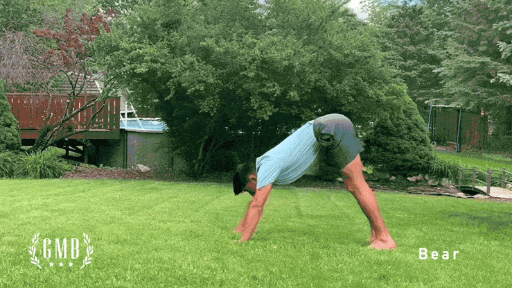 Bear Walks For Full Body Strength And Mobility 1 bear walk