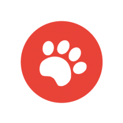 paw