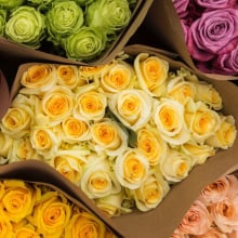 Farmer's Color Choice Roses