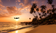 a plane lands behind palm trees and a beach setting as the sky turns orange and red during sunset 