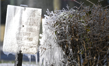 A road sign is covered in snow and ice following an historic winter storm on January 22, 2025 in Tallahassee, Florida