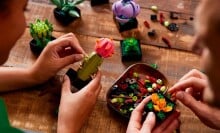 two people assemble a succulent Lego set