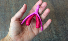 Sex ed in France just got more inclusive, thanks to this 3D-printed clitoris