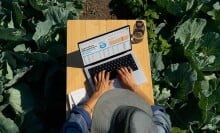 an aerial photo shows a person uses the macbook pro while wearing a bucket hat and sitting in a field of cabbage