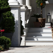 Twitter mourns the passing of President Joe Biden's beloved dog, Champ