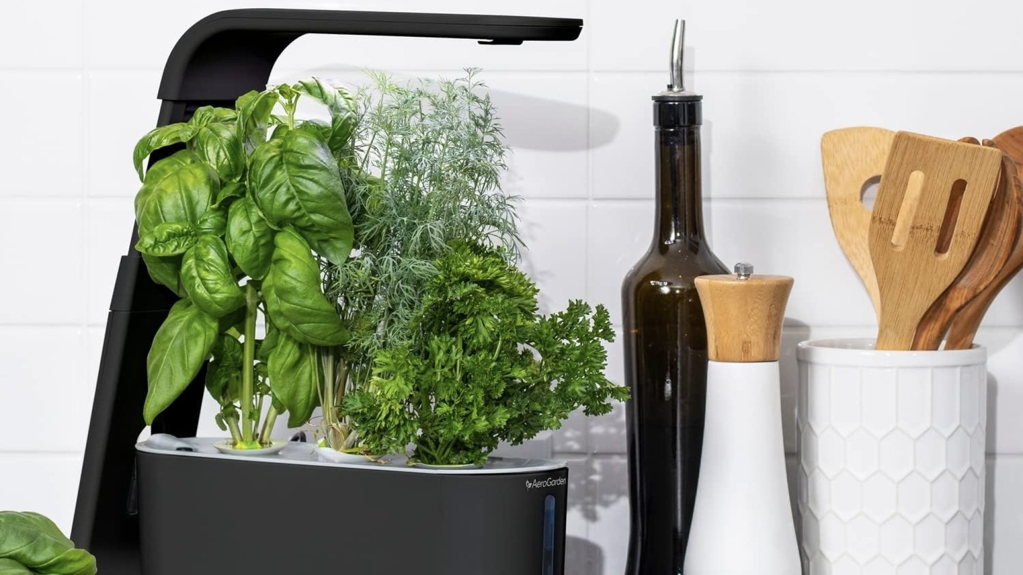 aerogarden slim on kitchen counter