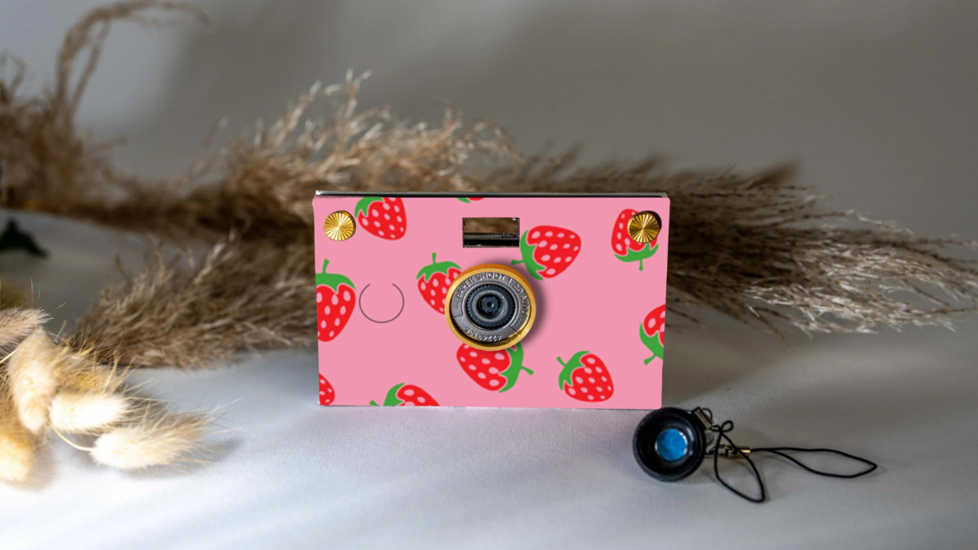 camera with cardboard cover decorated in strawberries