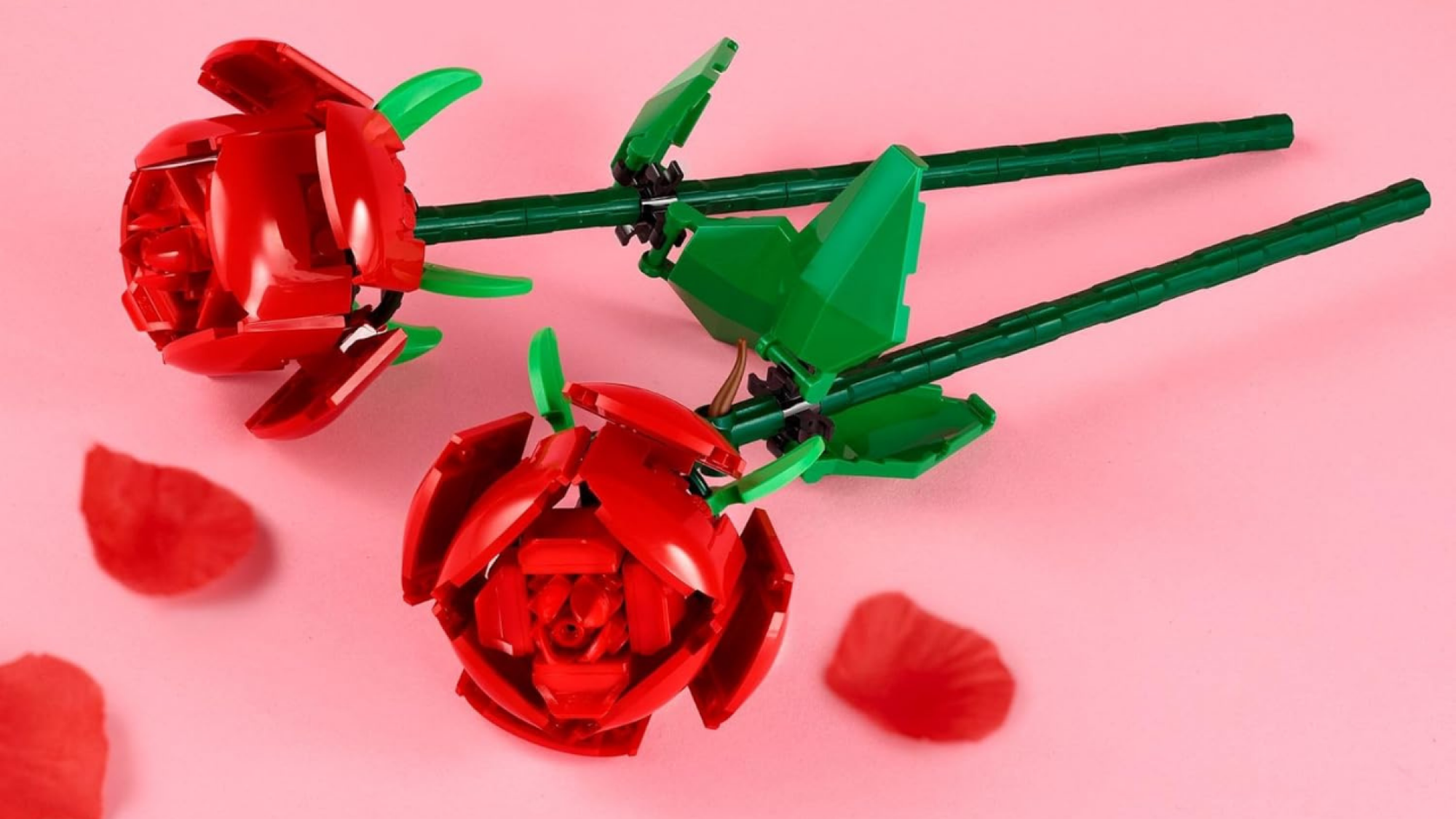 two lego roses on a pink backdrop with scattered rose petals