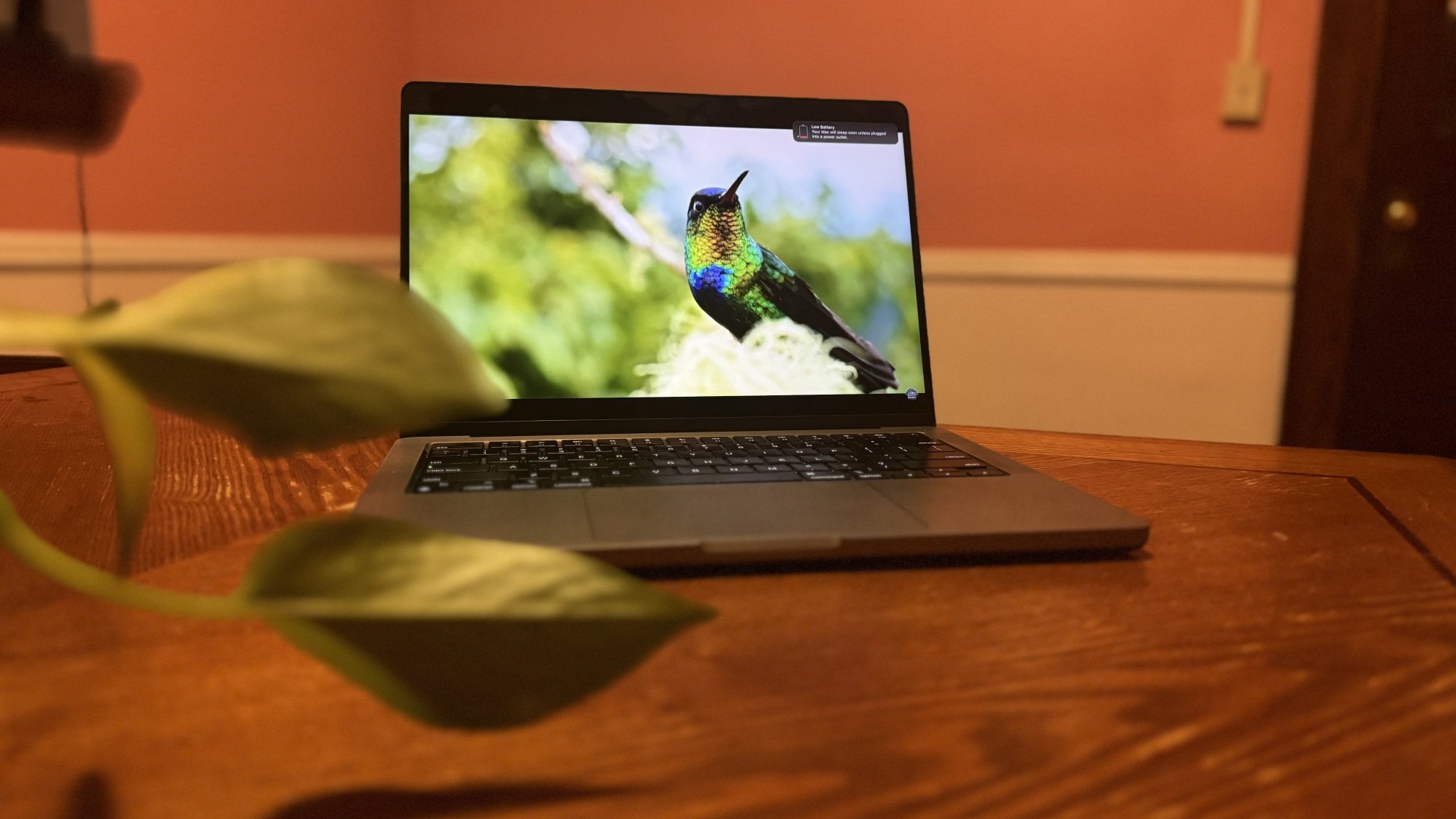 14-inch M3 MacBook Pro