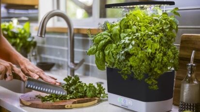 person chopping greens next to their indoor garden full of herbs and lettuce