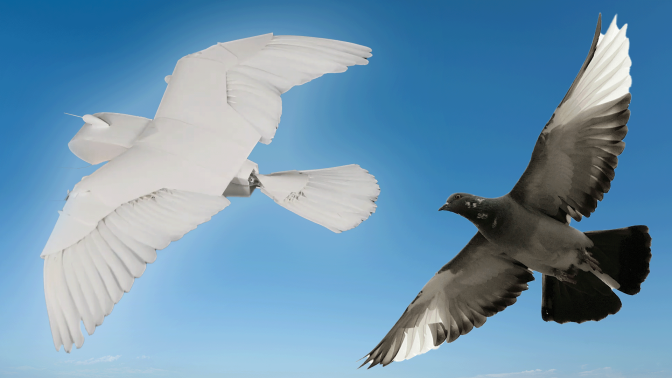 A collage juxtaposes PigeonBot II (left) and a real pigeon (right), both in flight and against a blue sky background