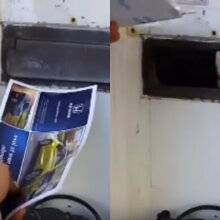 Cat does not want to pay bills, attacks all incoming mail