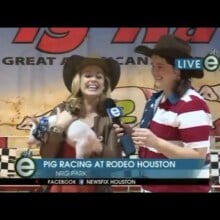 Reporter instantly regrets holding poopy pig on live TV