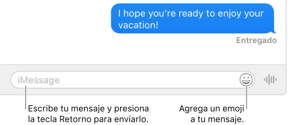 Una conversación en la ventana de Mensajes con el campo de texto situado en la parte inferior de la ventana.