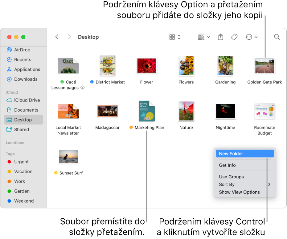 Okno Finderu, v němž jsou vidět soubory a složky. V nabídce zkratek je zvýrazněna položka Nová složka