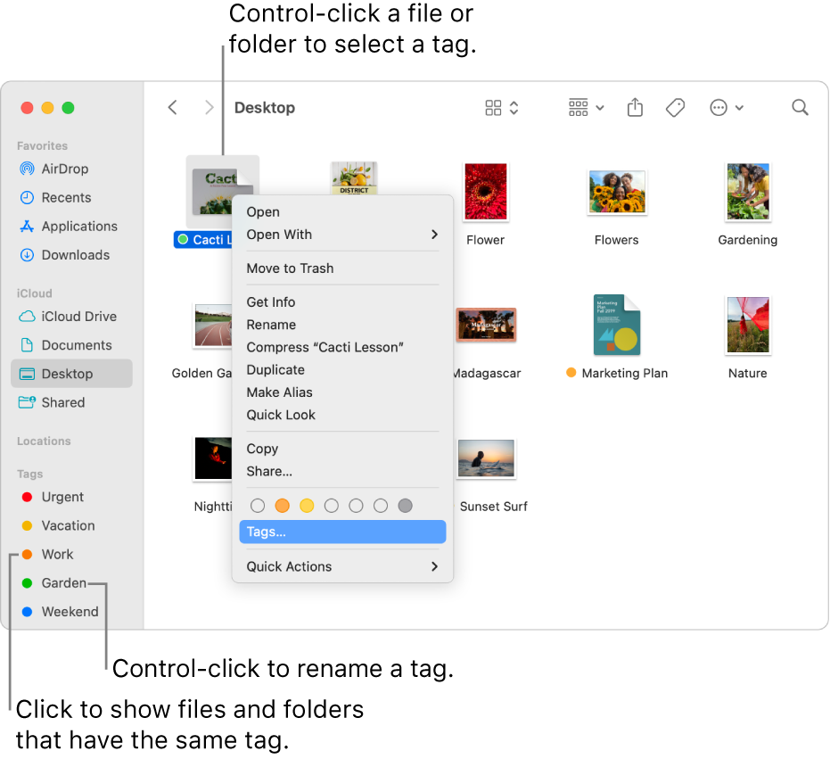 A Finder window containing tagged files and folders, with a file selected. In the shortcut menu, there are colour choices for tags, and Tags is highlighted.