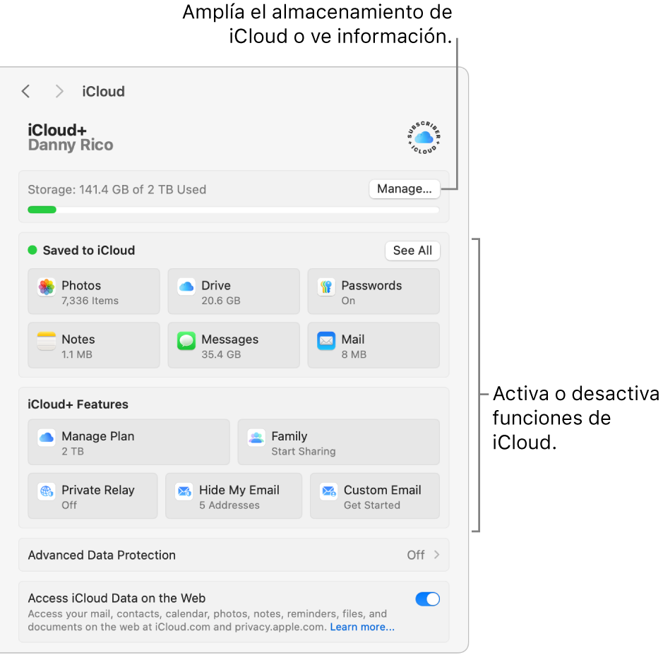 La configuración de iCloud con todas las funciones activadas.