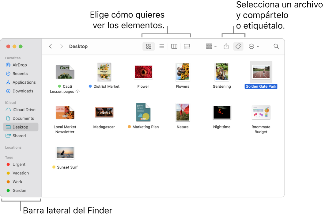 Una ventana del Finder con la barra lateral del Finder a la izquierda. En la parte superior de la ventana, hay cuatro botones que cambian la forma en que los elementos se muestran en la ventana, y botones adicionales para organizar y compartir los elementos.